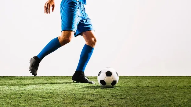 UED体育 应用界面